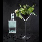 More Cambridge-Dry-Gin-70cl-3.jpg